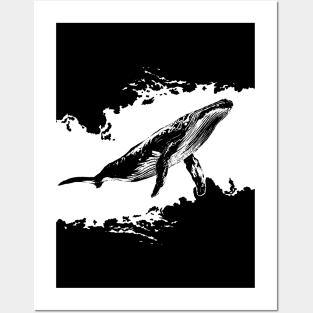 Whale Posters and Art